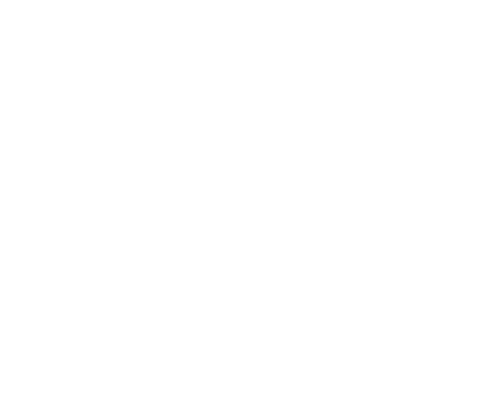 logo principale du site web domaine de vallon noir . Dès frères Dragon