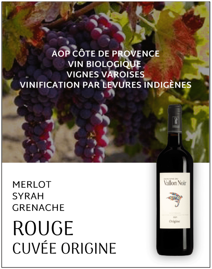 Découvrez la quintessence des vins de la Côte de Provence - une appellation d'origine protégée (AOP) renommée. Notre domaine viticole, niché au cœur des vignes varoises, est dédié à la viticulture biologique, mettant en valeur la richesse et l'authenticité de notre terroir. Nos vins sont élaborés avec soin, grâce à une vinification traditionnelle utilisant des levures indigènes. Nous vous présentons fièrement notre sélection de cépages exceptionnels, parmi lesquels le Merlot, la Syrah et le Grenache, qui donnent naissance à des vins rouges d'une grande finesse.